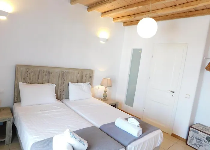 Ozar Mykonos Villa *